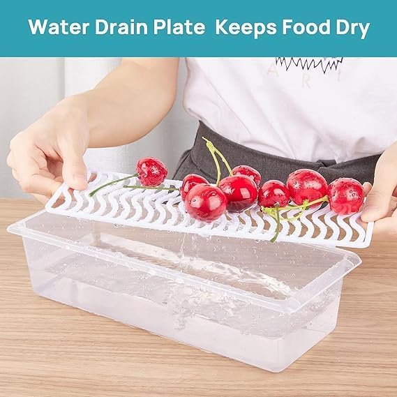 The Home Life Fridge Storage Containers with Drain Plate - PACK OF 6 ( 100% Money Back Gaurantee )